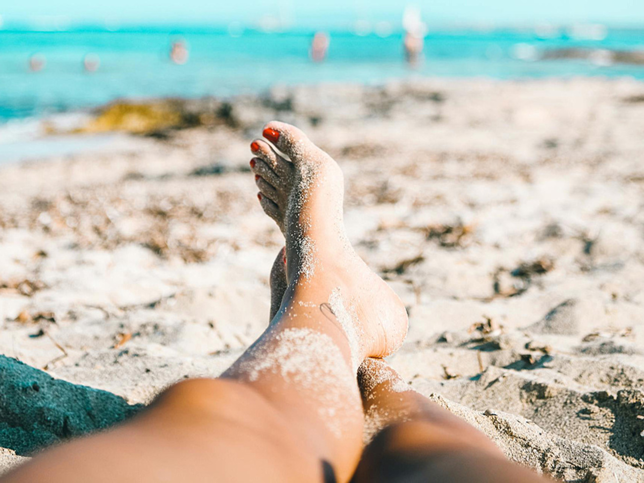 pexels-lolielia-6486136.jpg pexels-lolielia-6486136.jpg