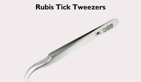 August 2025 Rubis (4) Blog