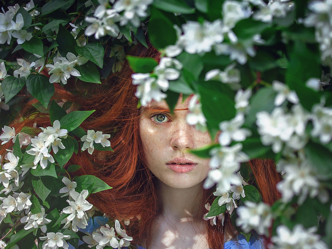 girl-2436545_1280.jpg girl-2436545_1280.jpg