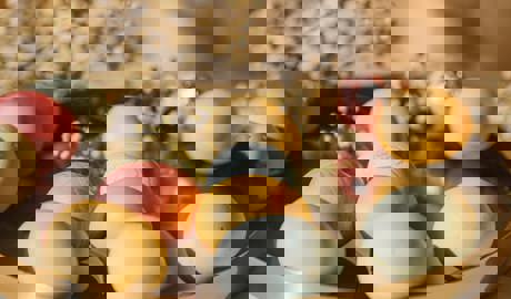 pexels-roman-odintsov-6897341.jpg